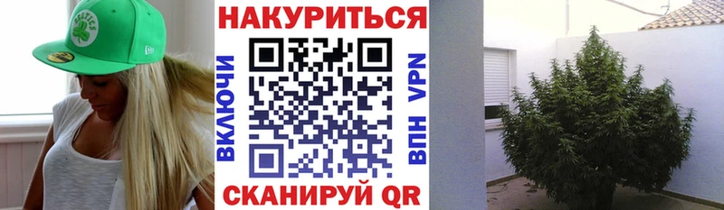 Каннабис семена  наркотики  Черкесск 